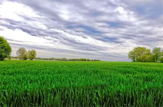 GIMP Photo Editing Software is Free